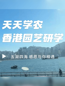 与香港园艺学会联合举办香港园艺研学，专业园境师带队讲解。