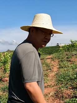 农业人叶涛，50多岁通讯人跨界搞农业，他要用1000万打造一个梦。